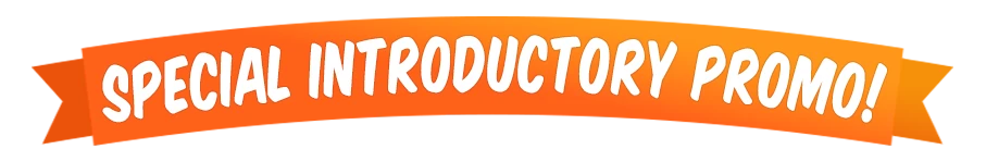 Special introductory promotional banner