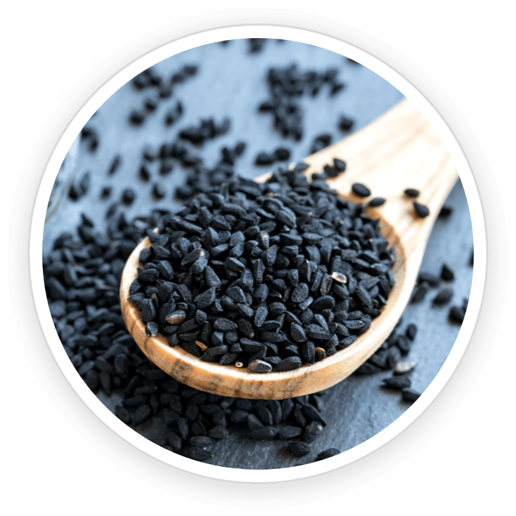 Babchi black seeds (Psoralea corylifolia) on a wooden spoon — natural skin and gut ingredient in Prime Biome probiotic supplement