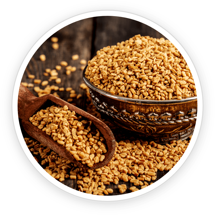 Fenugreek seeds in a decorative bowl — natural prebiotic ingredient in Prime Biome probiotic gummies for digestive and metabolic support