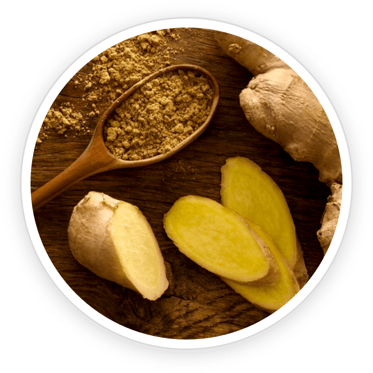 prime-biome-ingredient-organic-ceylon-ginger-root-digestive-anti-inflammatory.png